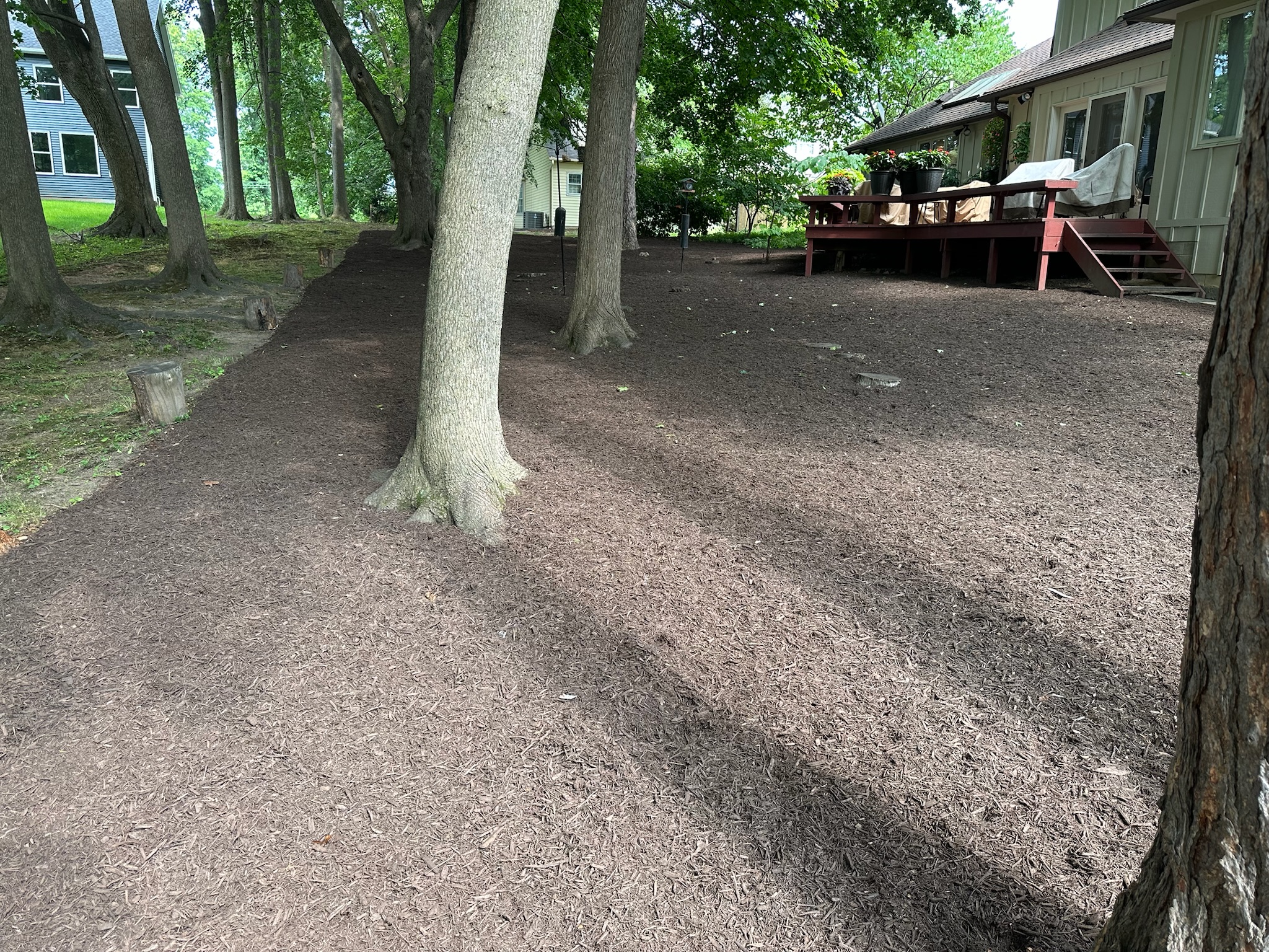 After Mulch