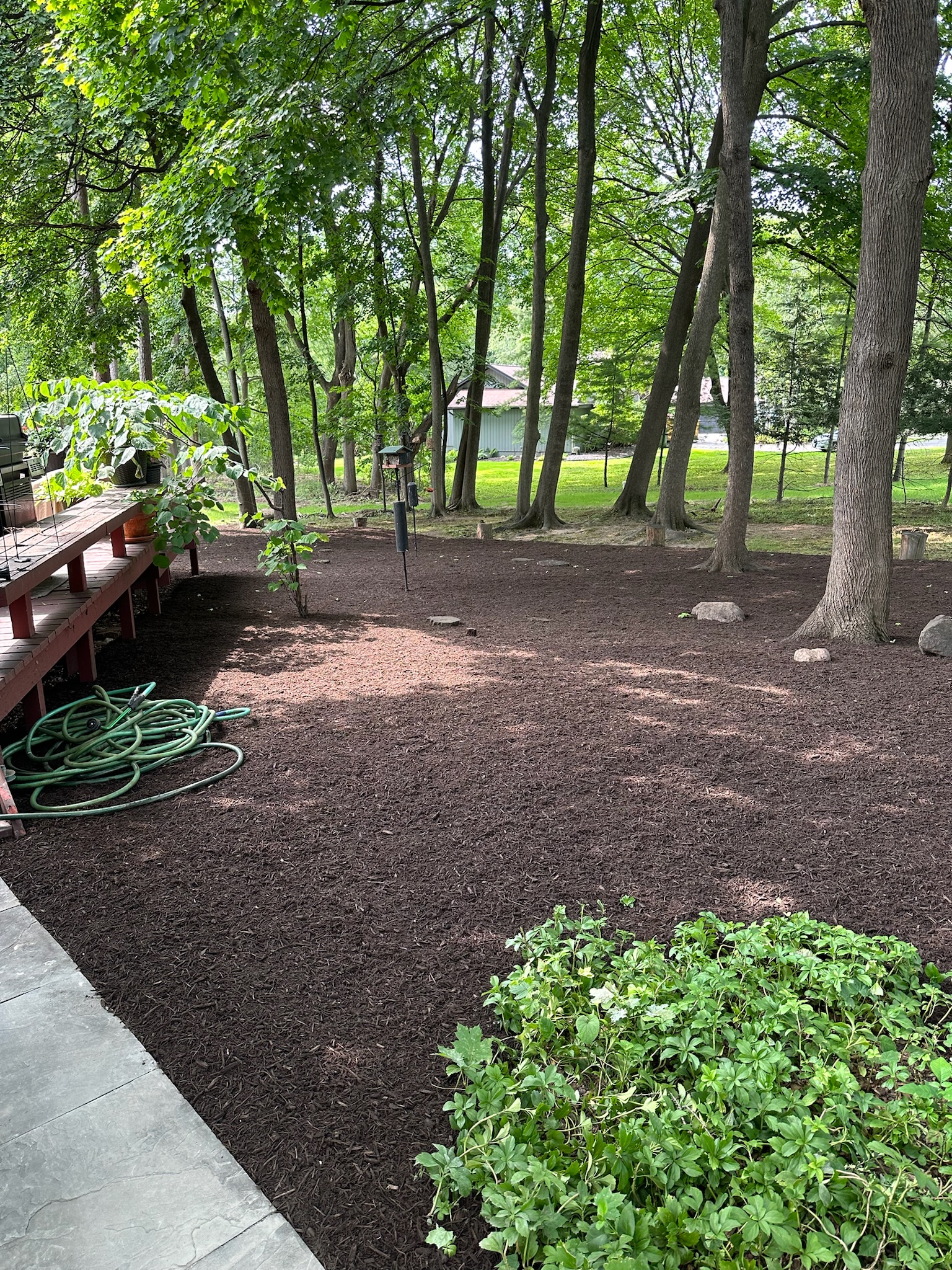After Mulch