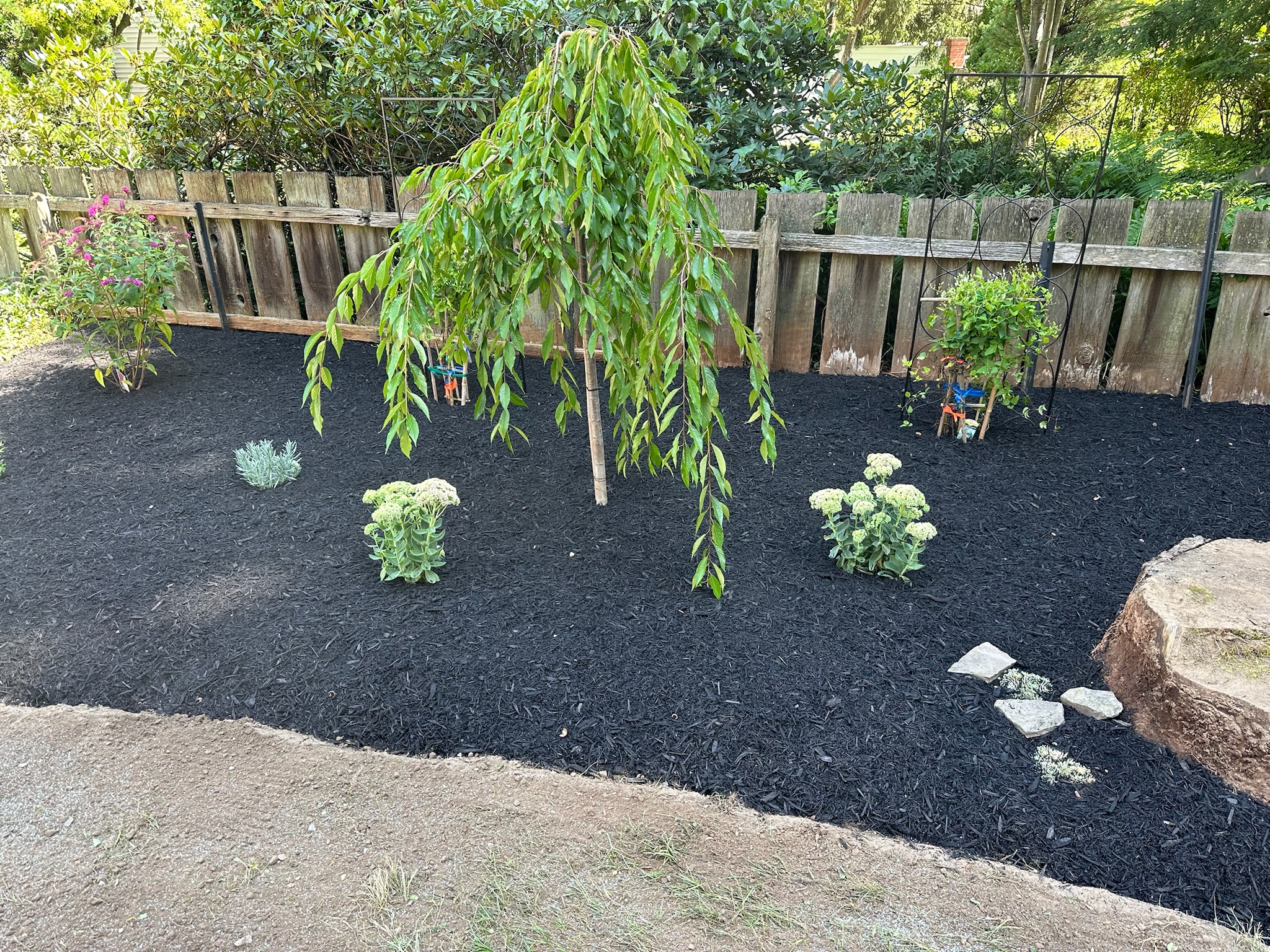Garden Install – After