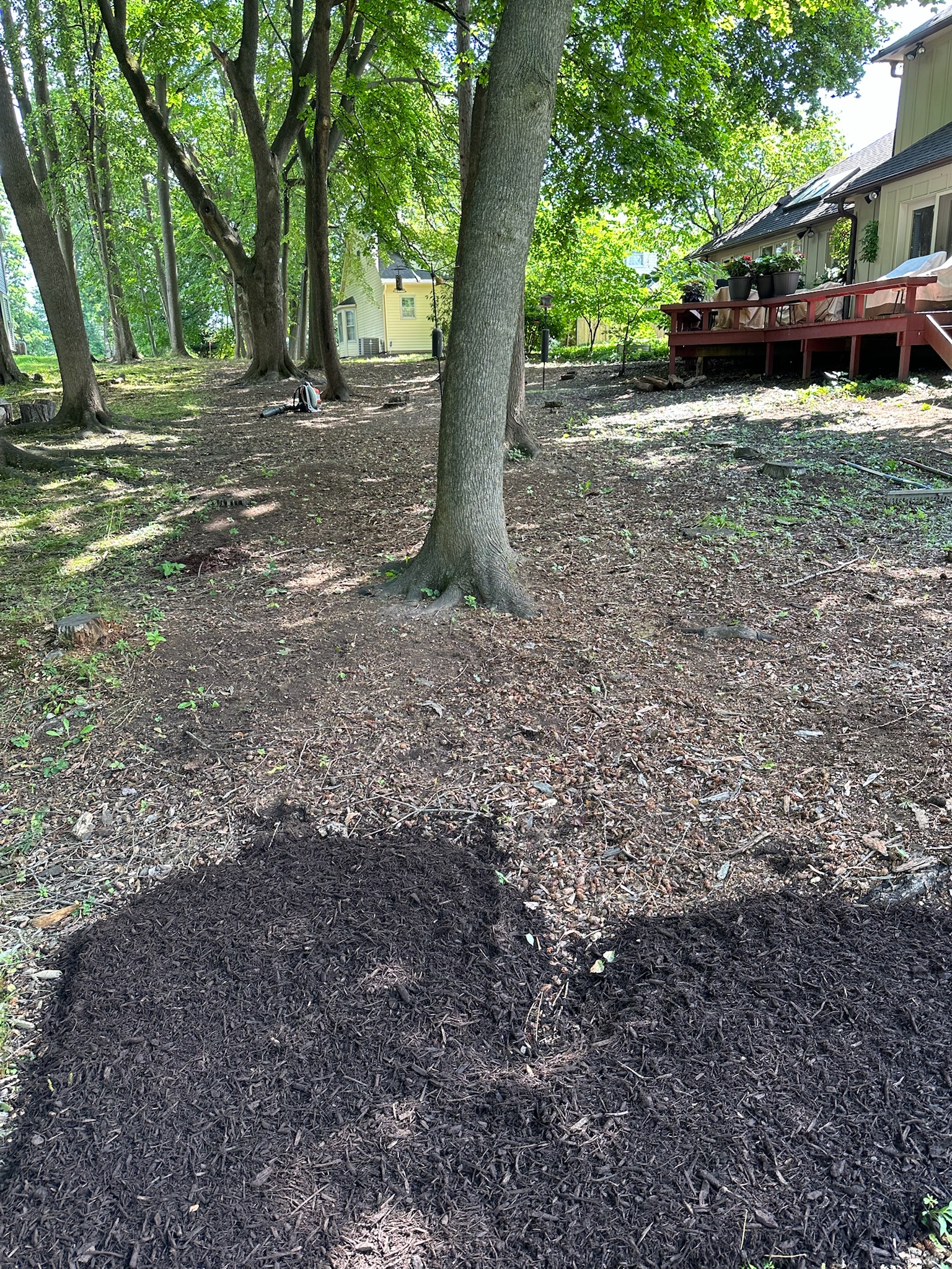 Before Mulch