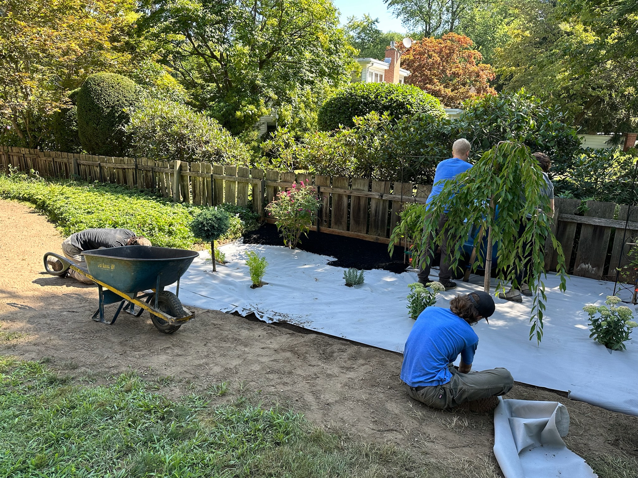 Garden Install – Before