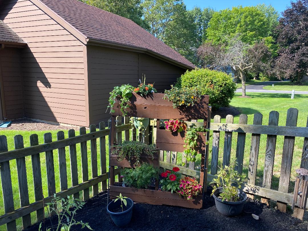 Featured project